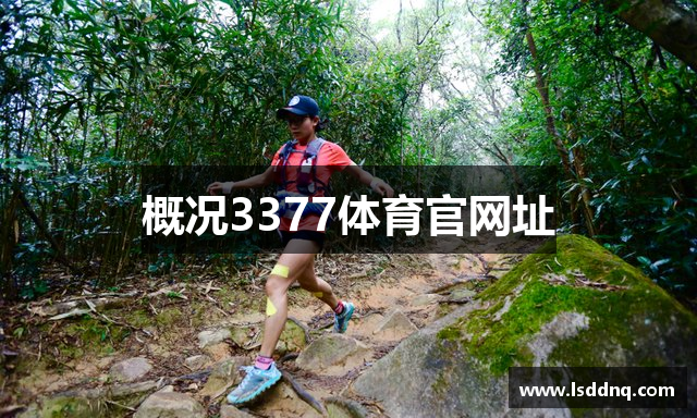 概况3377体育官网址